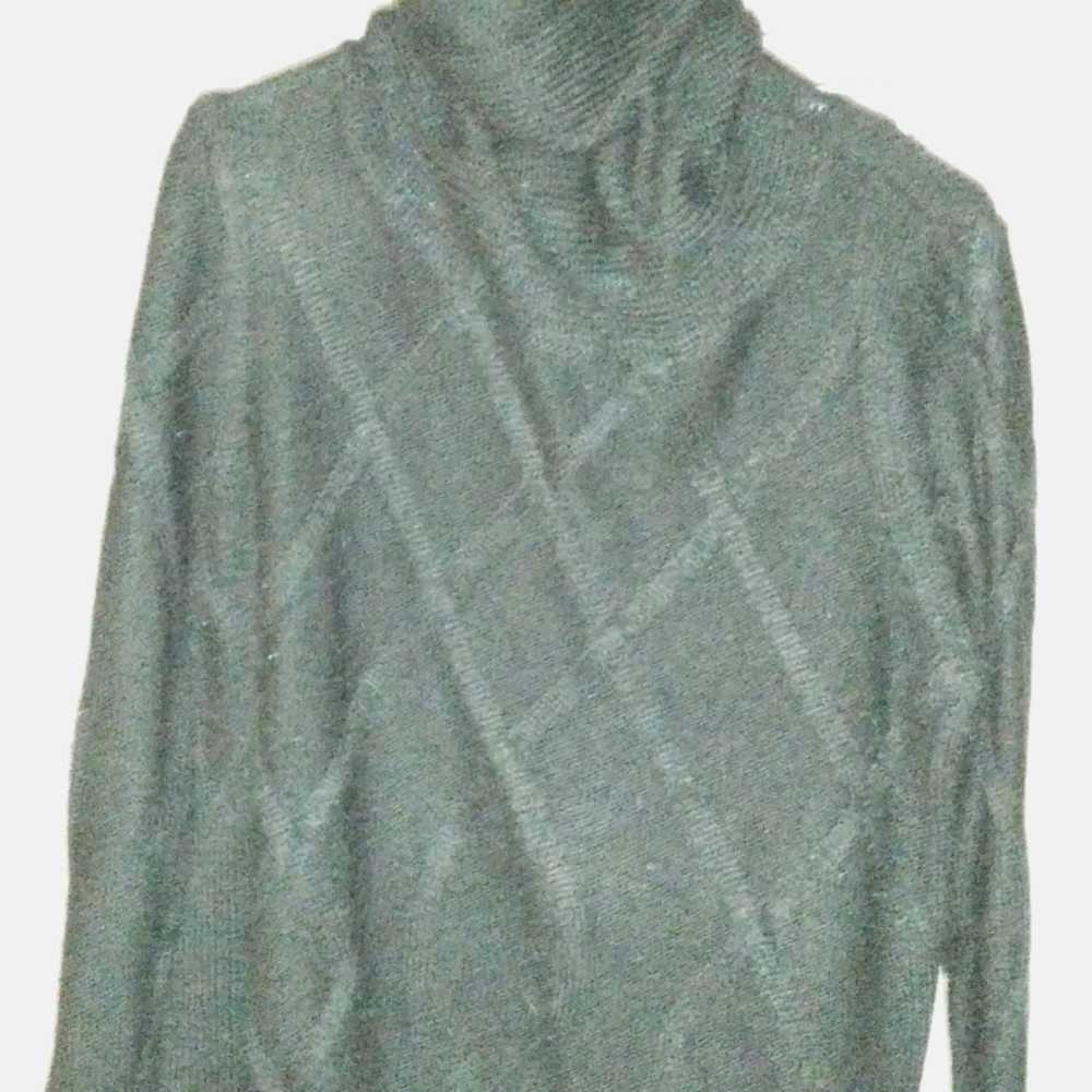 Liz Claiborne XXL  black turtleneck
